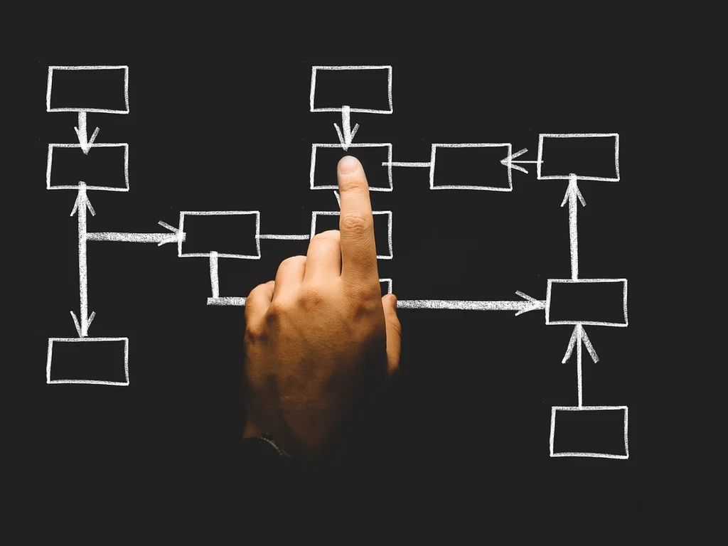 organisations distinguer surtout